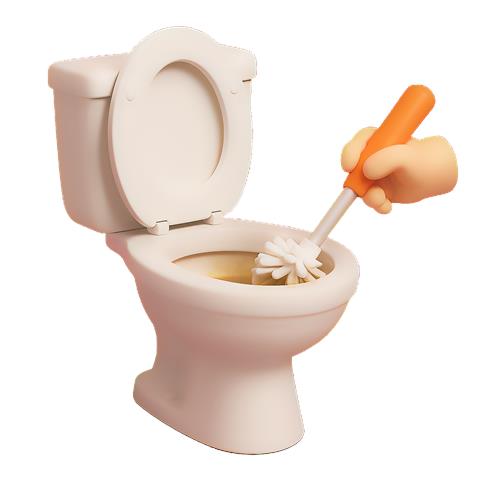 Toilet Rengøring