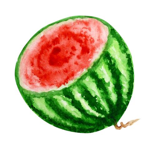 Saftig Vandmelon i Akvarel
